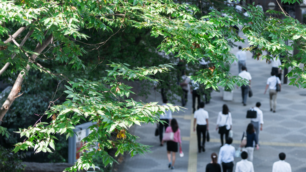 行動・行方調査